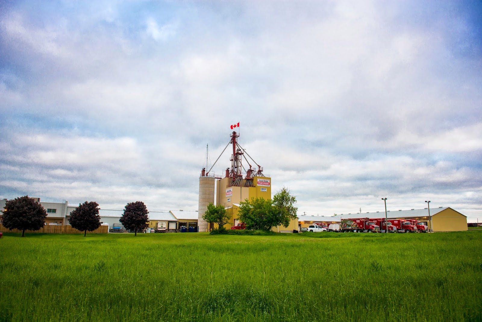 Footifiers Grand Valley Fortifiers — Livestock Feed in Cambridge, Ontario | Agronet